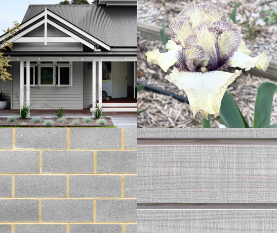 Progressive Attitude