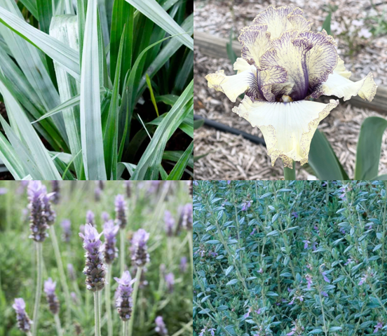 Progressive Attitude